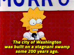 the-shy-fa:  cartoon: cartoon:   Sorry, Dad. I couldn't think of a nice way to say "America Stinks!" The Simpsons, Mr. Lisa Goes to Washington (1991) dir. Wes Archer   Happy 4th of July from Lisa Simpson!!! 👏 👏 👏   This is bullshit are an important