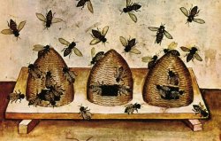 irisharchaeology:   Bees were so important in Early Medieval Ireland that they had their own set of laws the ‘Bechbretha’. These judgements covered such topics as ownership of swarms, theft of bee-hives and neighbours’ entitlements to honey from