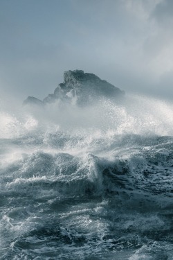 wolverxne:  Marine (Dorset) | by: [David Baker]
