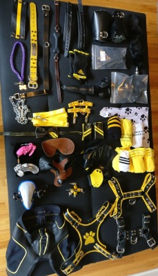 pup-rolo: Is there such thing as too much gear? 🐶🐾🐕 