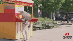 chandra-nalaar:  sizvideos:  The dog selling hot dogs prank - Watch the video  finally a respectable merchant 
