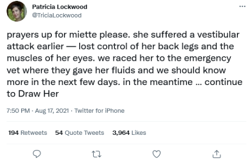 ehentalix:officiallordvetinari:nudityandnerdery:Been a rough couple days for one of our favorite cats, send Miette some good thoughts. TREMENDOUS news   You DRUG Miette? You compare her brains to the bean bag? Oh! Medical debt for mother! Medical debt