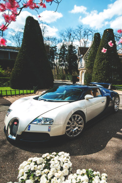imposingtrends:  Bugatti Veyron | ImposingTrends | Facebook | Instagram