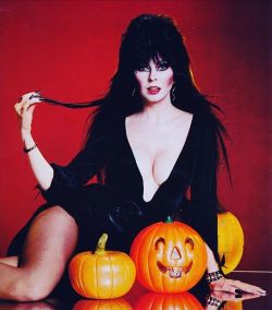 therealelvira:  Promo pic for #moviemacabre, October 1982! 🎃🎃 #tbt #elvira #halloween #1980s #horrorhostess #losangeles #cassandrapeterson #mistressofthedark   my mistress~ &lt;3 &lt;3 &lt;3