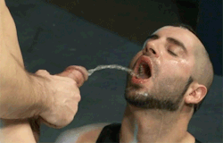 sikfagboi:  manpiss:  barelover1:  pigboy57:  jevalri:  Seee, tragate todooo  Drink up more to come PIG Follow me at:http://pigboy57.tumblr.com Hot Male &amp; pig Sex  COME ON AND SWALLOW -     ALLORS PREND TOUTE MA PISSE!!!  ~~~~PLEASE FOLLOW ME