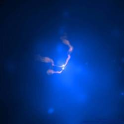 Two Black Holes Dancing in 3C 75 #nasa #apod #cxc #alfa #nrao #vla #nrl #3c75 #activegalaxy #galaxy #blackhole #blackholes #xray #radio #particlejets #orbit #interstellar #intergalactic #universe  #space #science #astronomy