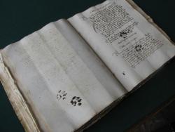 ave-atque-vale:  peepswitch:  (via Twitter / erik_kwakkel: Wow, 1500 followers: thank …) Ink cat pawprints in a 15th c. book. I was just wondering today if calligraphers of the past had problems with cats walking across wet ink and ruining things. 