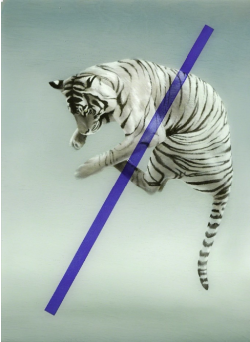 bacteriia:    Sam Leach -   Tiger with data points x Sam Leach -   Lion with transitional element