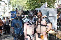 @Monsterbait looking amazing at FolsomYou can learn more about human pup play here: http://SiriusPup.net http://TheHappyPup.com http://PupSafeProject.org 
