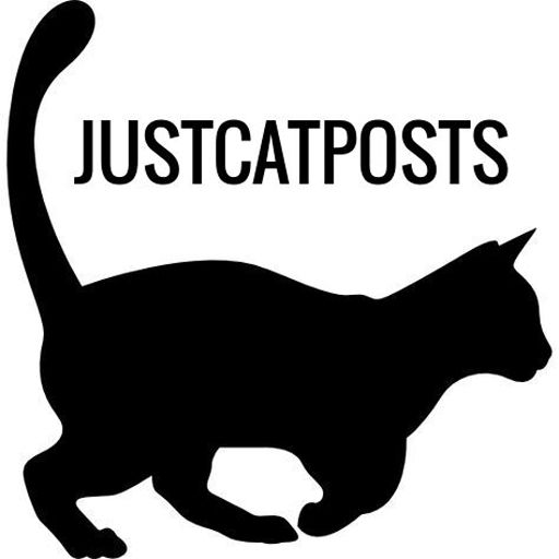 justcatposts:  Bobcat + Kitty (Source)