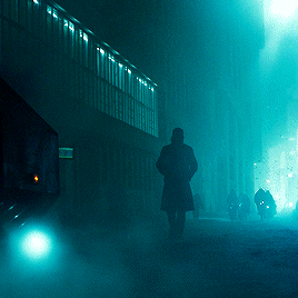 georgemackays:  I always told you. You’re special. Your history isn’t over yet. There’s still a page left.    Blade Runner 2049 (2017), dir. Denis Villeneuve  