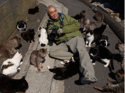 viridiandreamer:  stopdeandasgay:   Tashirojima (田代島) is a small island in Japan known as “Cat Island” due to the large stray cat population. The cat population is now larger than the human population on the island, and thrives as a result