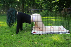 submissivefeminist:  It’s important to let your pets get some fresh air every now and then. Salem certainly enjoyed a little stretch in the sunlight. (starring @salemtheblackcat, do not remove her credit or you will be condemned to a lifetime of darkness)