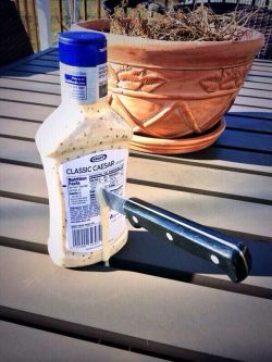 homostuckkk:  mamacastiel:  why does this have 32k notes? it’s just a picture of a knife in a ranch bottle, is there some unspoken joke that 32 thousand people share? what is going on here, i dont get it. it’s just a fucking picture of a knife in