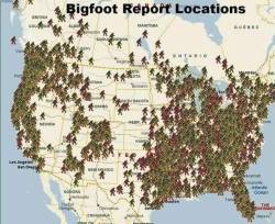 808sandamenbreaks: lalaithion:  mavenmemnon:  unexplained-events: Reported Bigfoot Sightings    Can’t believe Bigfoot was looking at furry porn while reading Martha Stewart in an IHOP 