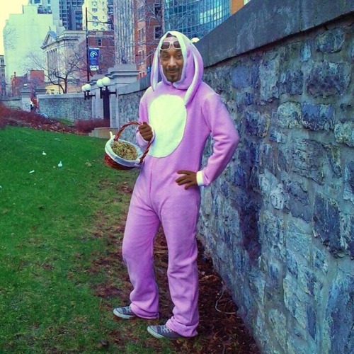 blondebrainpower:Snoop Dogg helping out the Easter Bunny