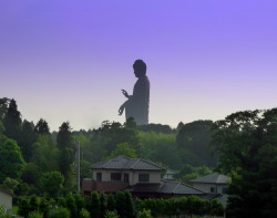 peace-love-hippieness:  dzolamboto:  oregonfairy:   The tallest statue in the world, Ushiku Daibutsu.  this always gives me chills   Insane.   I think about this sometimes