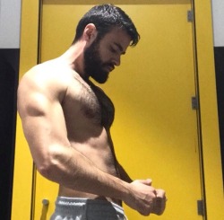 beardburnme:  fernando_asiem Instagram  Hot furry torso