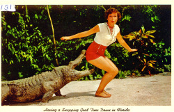 sumisa-lily: atomic-flash:  Having a Snapping Good Time Down In Florida - postcard c. 1950s (via Steven Martin)  How we do in the sunshine state. Be nice or we’ll feed you to the gators. 