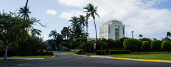 arbron:  Puerto Rico—Bacardi Distillery[x, x, x]