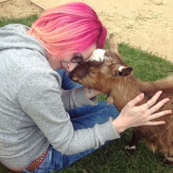 lost-lil-kitty:  I love goats. This baby gave me cuddles for ages and kept her little nose touching mine the whole time!!!  Sooo cute! another example of animals just loving you! haha