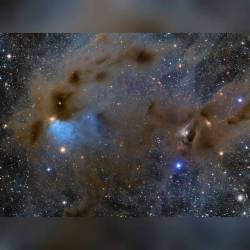 Young Stars and Dusty Nebulae in Taurus #nasa #apod #deepskywest #nebulae #nebula #constellation #taurus #molecularcloud #ttauri #stars #star #gas #dust #clouds #cederblad30 #lbn782 #barnard7 #interstellar #intergalactic #milkyway #galaxy #universe #space