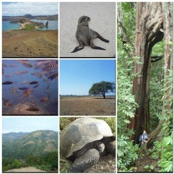 I have been so incredibly fortunate to have seen so much of this beautiful planet and I can&rsquo;t wait to go out and see some more. So in honor of Earth day, here are some pictures of Earth things