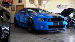 americanmusclepower:  2013 Shelby GT500 SVT Edition