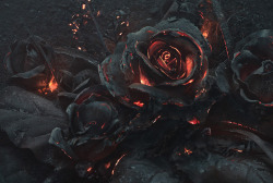 itscolossal:  A Smoldering Bouquet of Roses Photographed by Ars Thanea