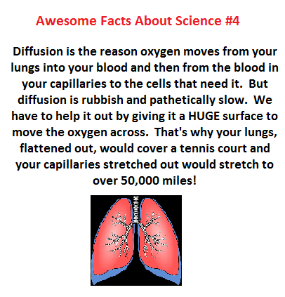science facts 4