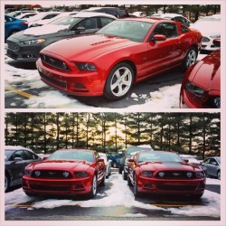 I don&rsquo;t know about you guys but these ponies are pure sex. #americanmuscle #ford #mustang #gt #5.0 #sexyinred #fast #sickcars #americanmade