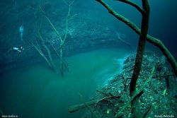 This is the Cenote Angelita river in Mexico. Like many other rivers in the world, you can find trees &amp; leaves along its banks. Notice that little guy to the left of the picture? That&rsquo;s a scuba diver. Because unlike other rivers, this one is