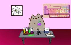 carlsagan:  unclepolymer:  Pusheen the cat making some chemistry.  That cat is not wearing safety goggles, he hasn’t even bothered to clean up that spilled solvent, and he is holding that Erlenmeyer flask way too close to his face. Pusheen the Cat,