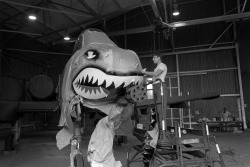 usnatarchives:  This shark gets a beauty treatment on its teeth! A member of the 23rd Equipment Maintenance Squadron corrosion control section removes masking from a 23rd Tactical Fighter Wing A-10A Thunderbolt II aircraft after painting it with fresh