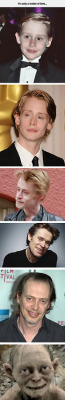 funnyinternetpictures:  The Evolution Of Macaulay Culkin Don’t forget to share us… http://bit.ly/1w66sm5