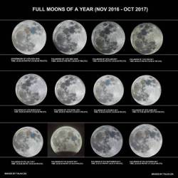 A Year of Full Moons #nasa #apod #fullmoon #moon #satellite #solarsystem #orbit #pakistan #space #science #astronomy