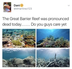 earlgraytay:  overlyygayy:  So the Great Barrier Reef was pronounced dead today.  Do you even realize that is this our home. We were blessed with such a beautiful, loving, and magnificent home and look what we have done to it. Mother Nature doesn’t