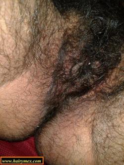hirsutesara:  hairymex:  If you really like hirsute women join Hairymex.com  I have smell and taste this Hairy Pussy from Mahanda! she is amaizing and there is a vid at Hairymex.com 