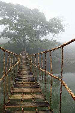 Rope Bridge Photograph Sapa, Vietnam by Skip Nall 