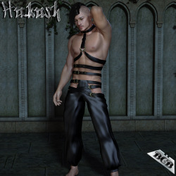 Hakash For M4 Hakash for m4 is to complement the Hakash for V4 outfit. It consists of a harness top and trousers. http://renderoti.ca/Hakash-For-M4
