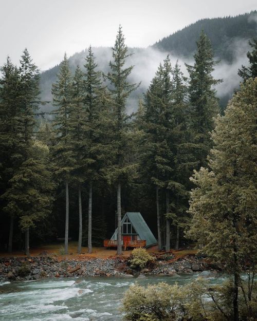 wild-cabins:  Chris Henry