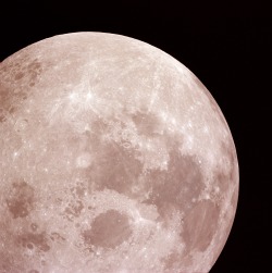 humanoidhistory: Behold the Moon, photographed during NASAâ€™s Apollo 14 mission, February 1971.