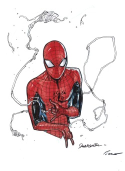mangabean:  spider-man. by Sara Pichelli 
