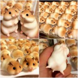 virgno:  haveitjoeway:  themaddfeminist:  jen-jen-jen-jen:  soundssimpleright:  coolthingoftheday:  Adorable Japanese hamster bread.  (Source)  Are you fucking kidding me.  there’s no way in hell I could take a bite out of these  It has a butthole