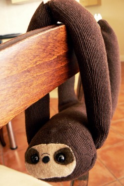 fuckyeahcraft:  A tutorial on how to make a sloth out of a sock!   SCREAM NEED TO MAKE