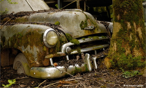 Кроме распространённых моделей автомобилей, на кладбище встречается и экзотика.