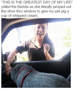 cream-in-your-coffee:  This would literally be me   I had my dog in the car with me one time when I went through the drive-through  and the gal in the drive-through window took one look at her, pretty much squealed in delight and told me I’d made her