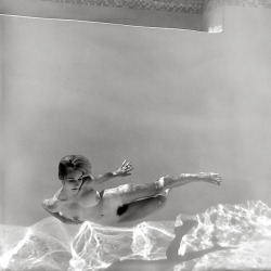 20th-century-man:Gloria Knight / photo by Edmund Leja, 1964.