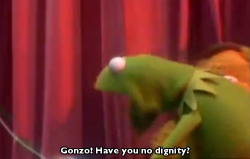 seascvm:inthefallofasparrow: Is the implication here that: a) Kermit has worked with him so long, he should know Gonzo has no dignity b) Gonzo has worked with Kermit this long, only because he has no dignityc) Gonzo has no dignity as a result of how long