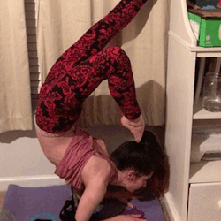 naked-yogi:so I finally touched my toes to my head in this pose and this is me catching it on camera I think everyone should be more excited about this and I see y'all givin’ me basically no notes cuz I’m wearing pants + you can’t see my ass (when